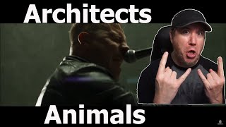 YEAH! Neuer Song von ARCHITECTS - Animals | Reaction