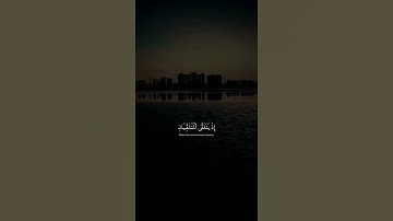 قران كريم بصوت القارئ حمزة بوديب تلاوة خاشعة | فيديوهات حالات واتس أب 🤍🕊️