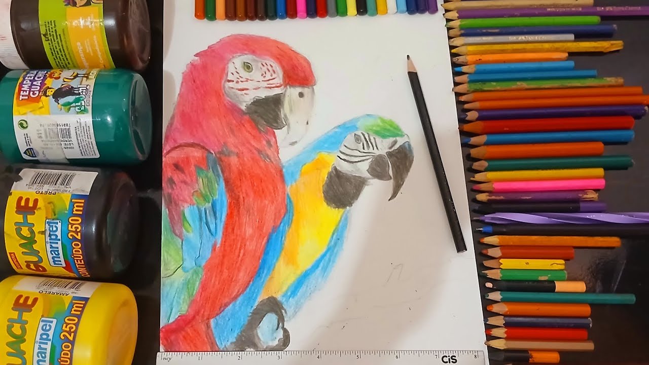 como desenhar uma arara realista parte 3: pintura - YouTube