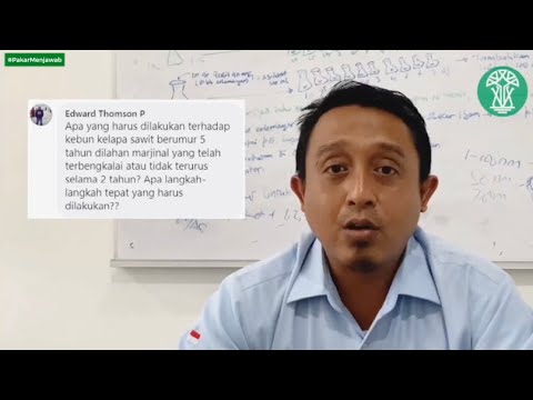 Video: Apakah tanaman marginal membutuhkan tanah?