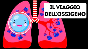 Cosa ottengo dalla combustione?