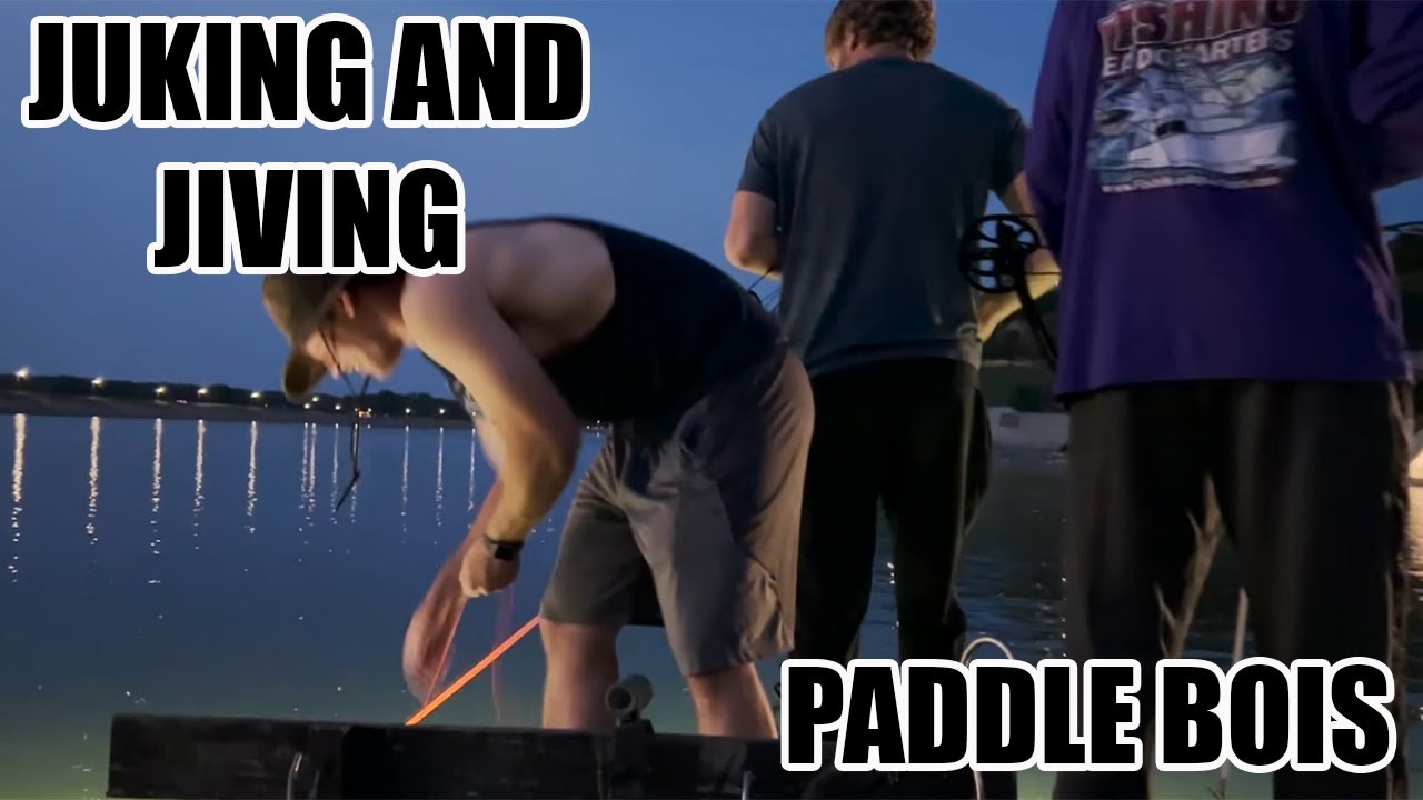 CUTE FISH COMPILATION