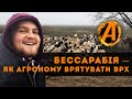 Агрономи рятують ВРХ/ СуперАгроном