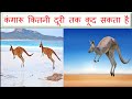 Top 10 Amazing Facts in Hindi gk facts intresting facts Animals