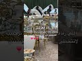 زفه ترحيبية ترحيب بالضيوف يامرحبا بضيوفنا ترحيب زفة ترحيب ترحيبية بدون موسيقى بدون اسماء