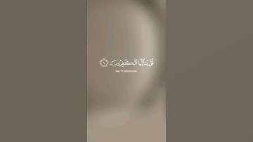 ماهر المعيقلي | #سورة_الكافرون #قرآن #القرآن_الكريم #قران_كريم #quran