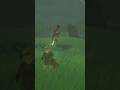 Lightning Strikes Again! #thelegendofzeldatearsofthekingdom #totk #gaming #switch2