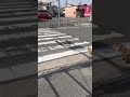 기다리는 미덕#너와 함께 가는길 이니까 두렵지 않지