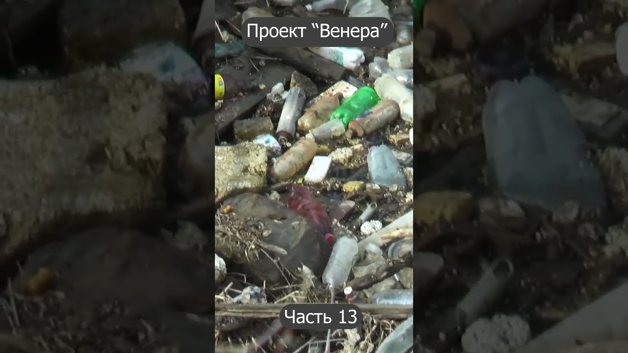 Проект "Венера" - это утопия или наше будущее? Часть - 13 Все про проект "Венера" по Жаку Фреско.