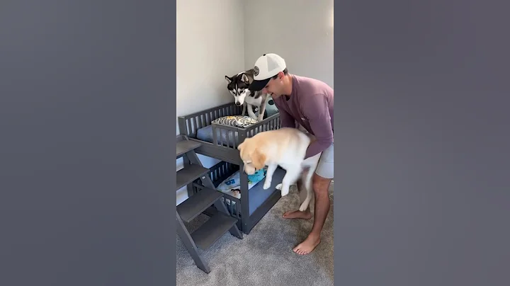 video 4f454dda fe54 4784 825d 36a1aa10569f 19