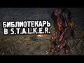 БИБЛИОТЕКАРЬ ИЗ МЕТРО В STALKER. S.T.A.L.K.E.R. НАРОДНАЯ СОЛЯНКА 2016. #1