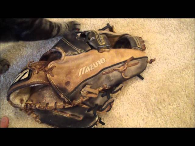 old mizuno baseball gloves