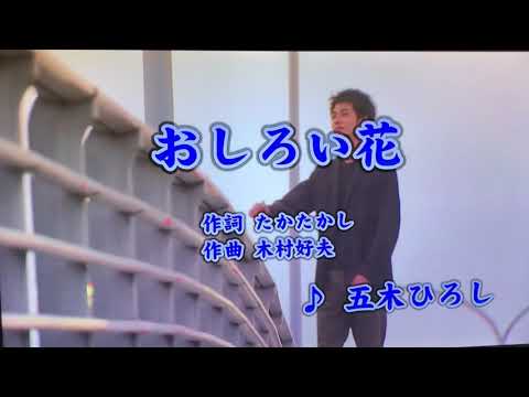 おしろい花　五木ひろしさんのヒット曲です