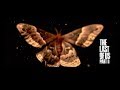 Lotte Kestner - True Faith | The Last of Us Part II