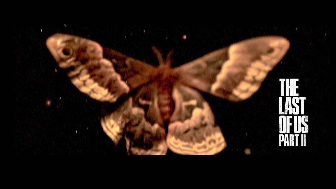 Firefly and Ellie's moth ✨ from the Last of Us part 2