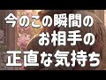 今この瞬間のお相手の正直な気持ち･恋愛ミニリーディング