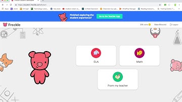 Student View of Freckle Education