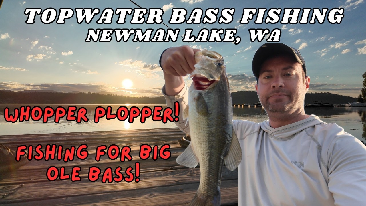 Topwater Bass Fishing from Shore – How to Fish a Whopper Plopper – Newman Lake, WA