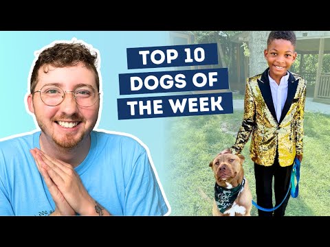 Kid Dresses Up