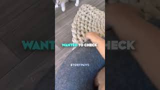 The Cats Secret Surprise Revealed