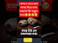 খেলার কথা বলে ছোট বাচ্ছাকে হত্যা বেরিয়ে এলো চাঞ্চল্যকর তথ্য অবাক হতে বাধ্য #shorts #crimethriller
