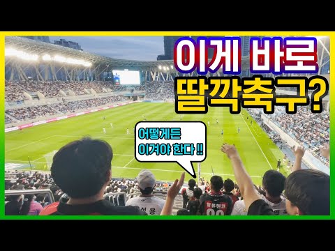 대구의 미쳐버린 축구열정 제대로 맛보고 갑니다 대구FC 서울팬 인터뷰 
