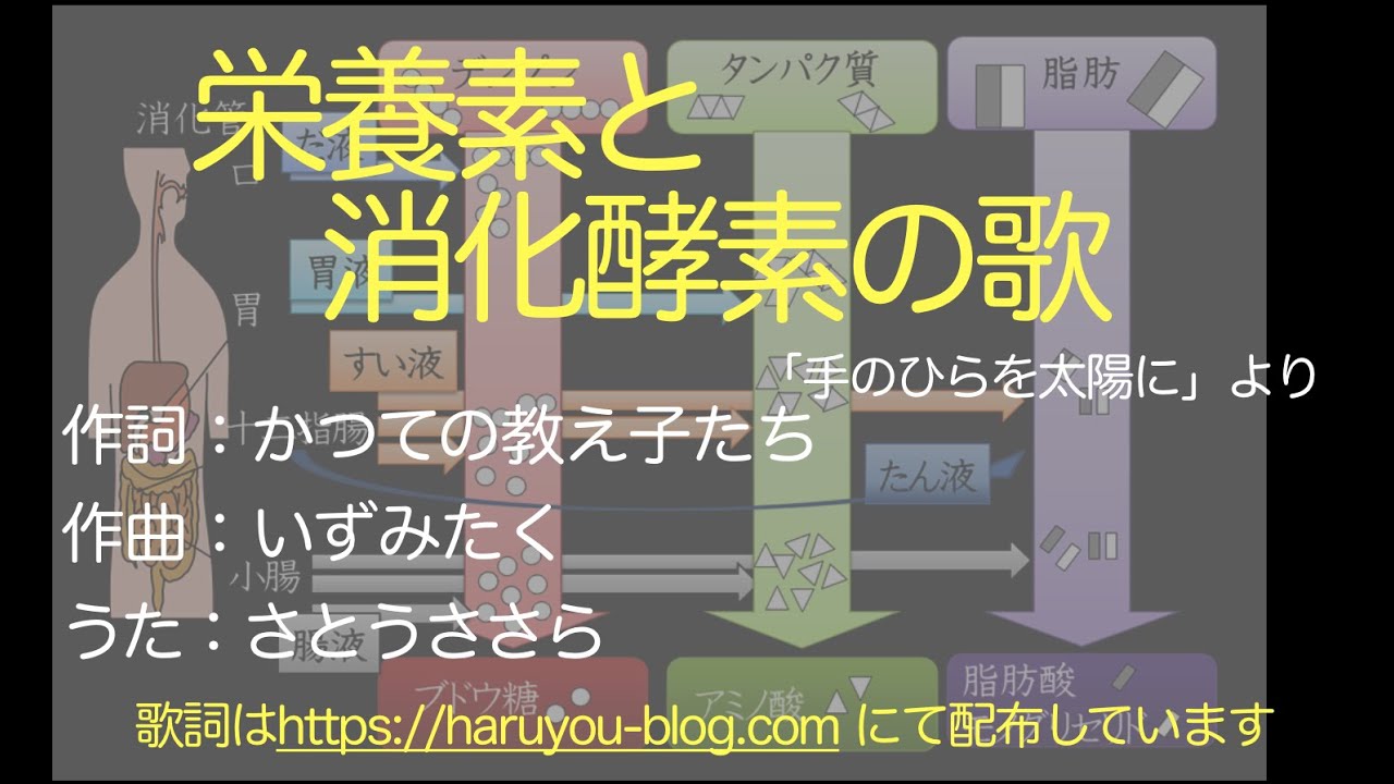 栄養素と消化酵素の歌