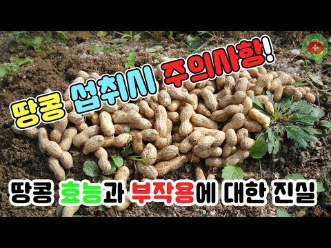 엑스트라버진올리브오일 추천