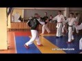 Seminar karate - 2016 (kumite - 1, January)