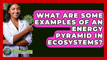 What Are Some Examples Of An Energy Pyramid In Ecosystems? - Earth Science Answers