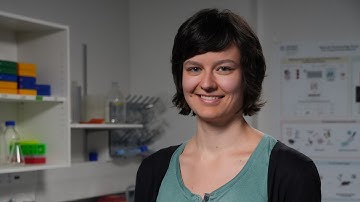 PhD Booster 2024: The enemy inside: the role of tissue-resident memory T-cells in multiple sclerosis