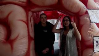 Assignment - 1b Giant Brain