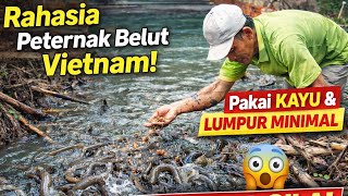 Rahasia Ternak Belut Ala Vietnam! Pakai Kayu &  Hasilnya Gila!