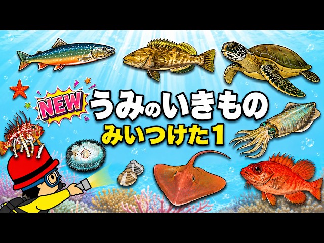 りり　オーダー　海の生き物48種類 子供が喜ぶ水族館】海の生き物 お魚たちが大集合①何がいるか当ててね