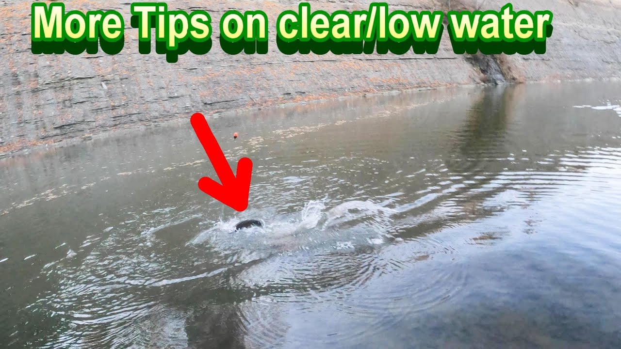 Clear Water Steelhead-My Top Crappy Tube Jighead Reveals)