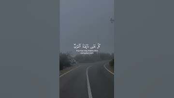 اكتب شيء تؤجر عليه ❤️🎧 #القارئ عبد الرحمن مسعد