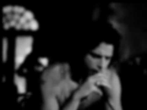 Slash feat. Chris Cornell - Promise (Español)