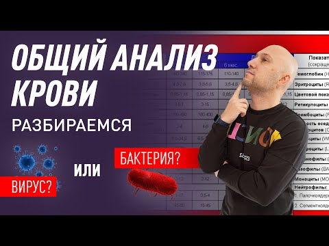 Общий анализ крови. Разбираемся в показателях. Вирус или бактерия