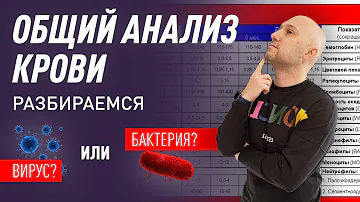Общий анализ крови. Разбираемся в показателях. Вирус или бактерия