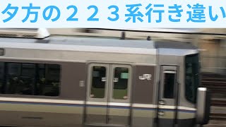 223系 夕方の行き違い 新快速と普通 20230330