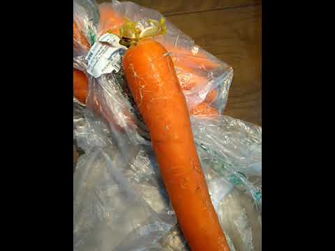 Vídeo: Cenoura, Por Quê. Vegetais De Raiz Fora Do Padrão