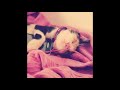 [free for profit] pinkpantheress x newjeans type beat "sunny"