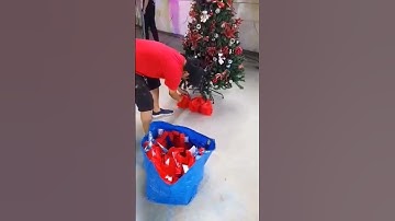 Putting gifts under Christmas tree #gift #gifts #christmas #christmastree #shorts