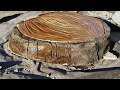 como hacer adoquines de tronco de árbol con cemento 👍