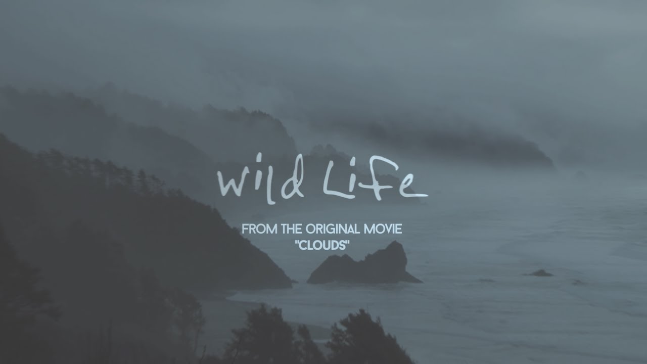 OneRepublic – Wild Life (Lyric Video)