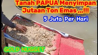 HEBOH DUNIA..‼️Emas Tanah PAPUA Tersimpan Jutaan Ton..!!! 5 Juta Per Hari