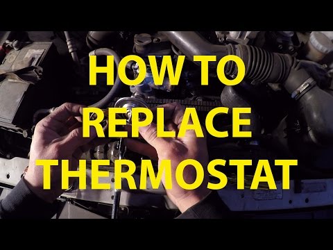 How To Replace Thermostat – Car 1997 Holden Rodeo (Isuzu)
