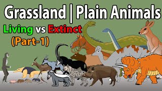 Ultimate Grassland Animal Size Comparison 2024 | From Plains to Peaks (Part1)