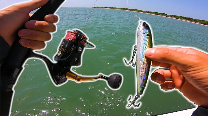 Using Big TOPWATER to Catch HUGE Fish