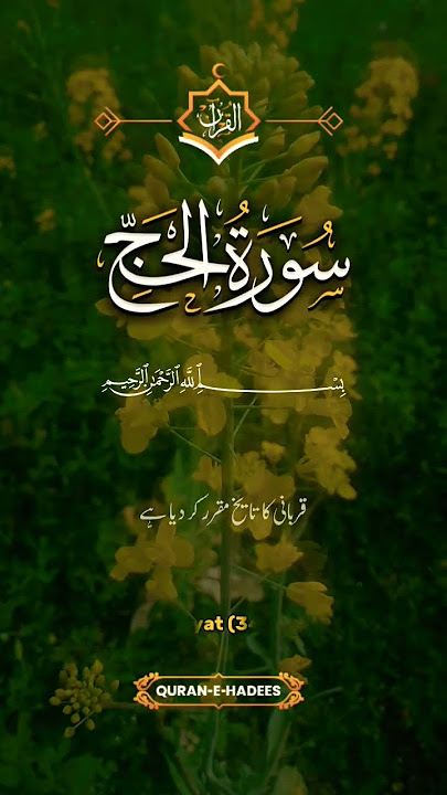 Surah Al Hajj Ayat 34 #shorts #viralvideo #viralshorts #shorts #quran